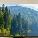 돈값하네 이미지