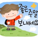 은혜꽃집