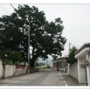 모정경로당 이미지