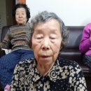 종각 경로당 Daum카페