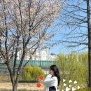 벚꽃치과의원 이미지