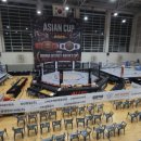 메타본엔터테인먼트 주식회사 | 복싱링 대여 후기 - 주식회사 본엔터테인먼트- MMA 케이지 대여 후기