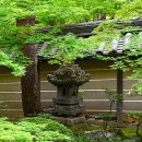 남정유치원 | 영관당 선림사 (永觀堂 禪林寺, 에이칸도 젠린지) 1 편