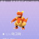 고 플레이 이미지