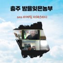 예산양봉원 | 충주 밤을잊은농부들 12월 sns마케팅 자체스터디