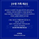 짐나지움 이미지