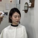 세종비에스 네이버블로그
