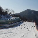 장흥 자연휴양림 이미지