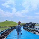 20260826-전난 순천시 순천만국가정원 이미지