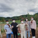 현북초등학교 이미지