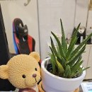 미스트롯노래연습장 이미지