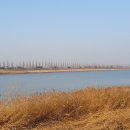 산소의원 | #고압산소 치료 후기 #신철의원