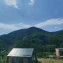 곰배령 팜스테이 이미지