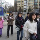 크린데이 이미지