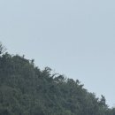 태풍게임장 | 🇻🇳베트남 하이퐁 깟바섬 여행 3일차 | 태풍 속 플라밍고 리조트 호캉스 &amp; 꿀팁 공유! 🌧️🏝️