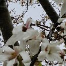 통일전 화장실 이미지