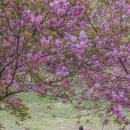 연기면_원수산MTB공원 이미지