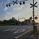 롯데리아 서천점 이미지