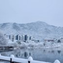 고운님 전통차 이미지