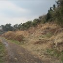 서호동-18 이미지