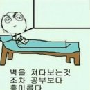 몬스터피자 - 강릉시 | 몬스터피자