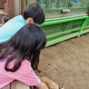 나비부화장 | 2022. 08. 12. 금요일 / 아이와 함께 가기 좋은 곳, 남해 나비생태공원 나비생태관 방문 후기 :)