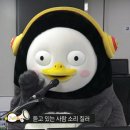 한국야쿠르트 파주점 | 9월의 일상2 (아멜리파우더, 호우섬밀크티, 백미당모나카, 옹기꽃게장, 스벅신메뉴)