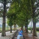 혼불문학관 | [공지] 전북 남원여행 서도역 및 혼불문학관 추천 후기