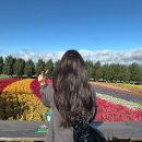 혈도농장 | [삿포로] 비에이투어, 징기스칸다루마본점