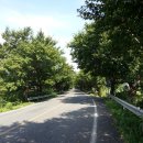 뜰안에 민박 | [경남 하동] 친절했던 뜰안에 게스트 하우스 + 느린 우체통, 화개장터