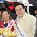 창녕시장 이미지