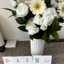 주식회사 두꺼비집 | 7. 임신 30주~33주(대학병원 전원 고민,식세기 고장)