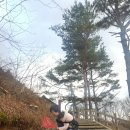 깃발목장 이미지