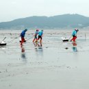 태안군, 근흥면 마금리서 ‘패류어장 재생 시범 사업’ 추진!(서산태안TV) 이미지