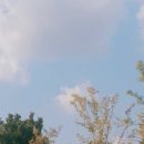 윤*학 - 안양시 만안구 충훈로71번길 | 윤*학