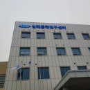 트랜디 조명 이미지