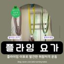 씨유수원숭죽점 | 플라잉요가 원데이클래스 체험 후 몇 개월째 입문반, 그래도 좋아 (@플라잉스토리)