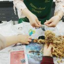 남도여자중학교 이미지