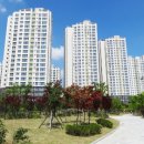 원흥4로 이미지