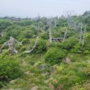 구상목장 이미지