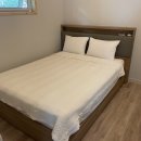 라온애견펜션 이미지