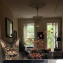 나만고양이없어 이미지