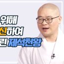 지혜로운 소나무