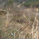 자산동205 이미지