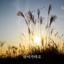 제62회:화담숲에서(광주시곤지암.&#39;25.11.6) 이미지