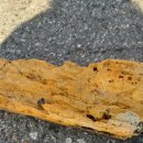 오포2동-1 이미지