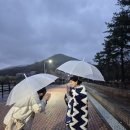 팔팔덤프 - 4696 | 팔팔덤프