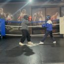 메이져복싱 오송점 이미지