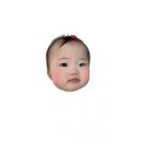 거해통상 Daum카페