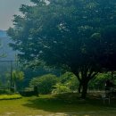 제천배드민턴체육관 배드민턴체육관 | 2025年 6月